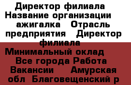 Директор филиала › Название организации ­ Zажигалка › Отрасль предприятия ­ Директор филиала › Минимальный оклад ­ 1 - Все города Работа » Вакансии   . Амурская обл.,Благовещенский р-н